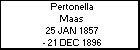 Pertonella Maas